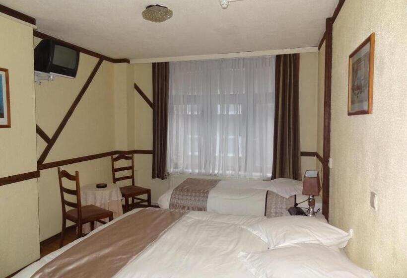 پانسیون Logies Ocelot