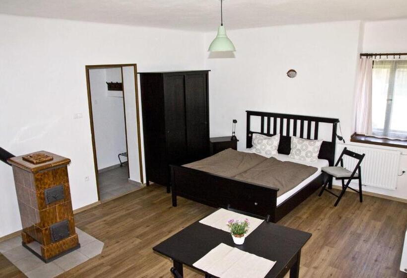 펜션 Penzion Albeř