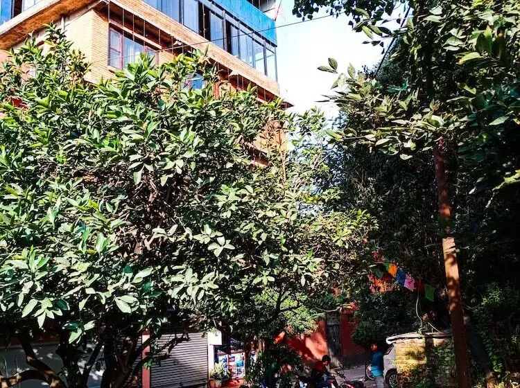 Rest Up Kathmandu Hostel