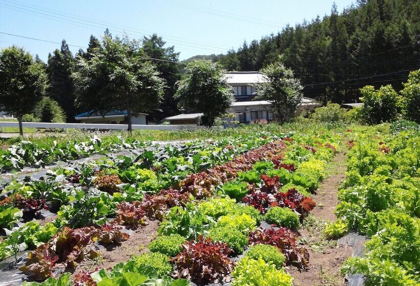 بنسيون Guest House Pole Pole