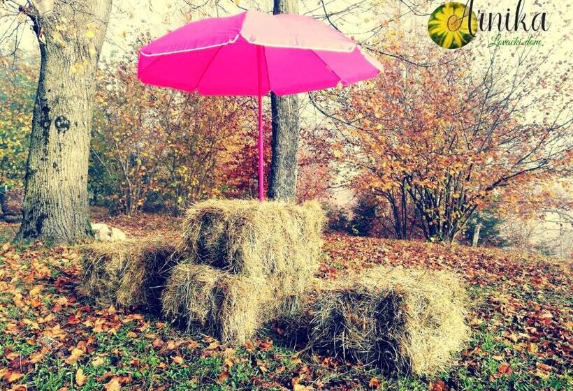 호텔 Guesthouse Arnika