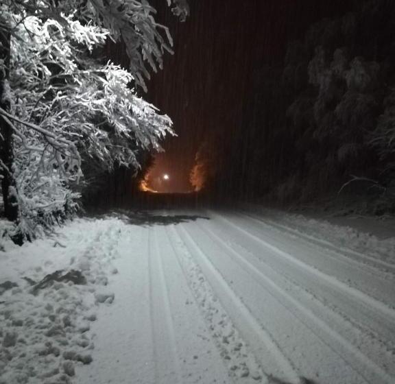 호텔 Guesthouse Arnika