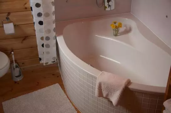 ホテル Mountain Inn