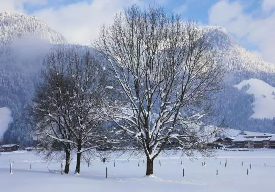 ホテル Mountain Inn