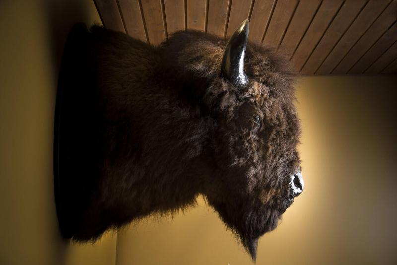 호텔 Musee Premieres Nations