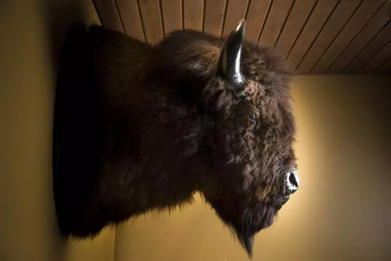 هتل Musee Premieres Nations