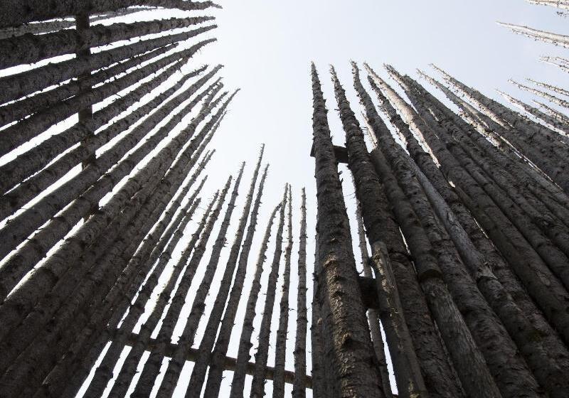 호텔 Musee Premieres Nations