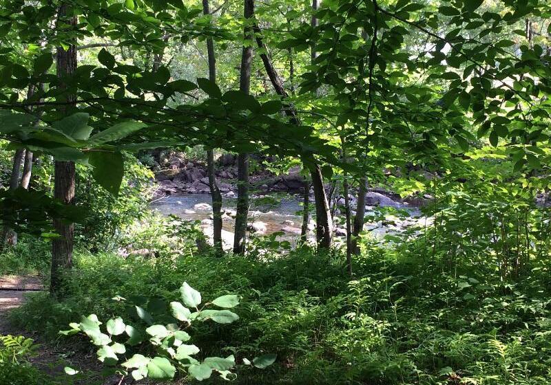 호텔 Musee Premieres Nations