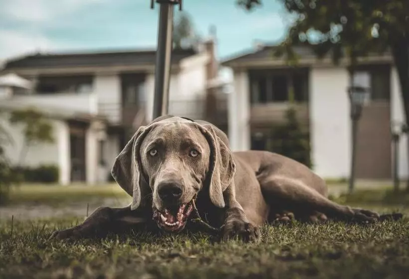 هتل Prieka Pietura