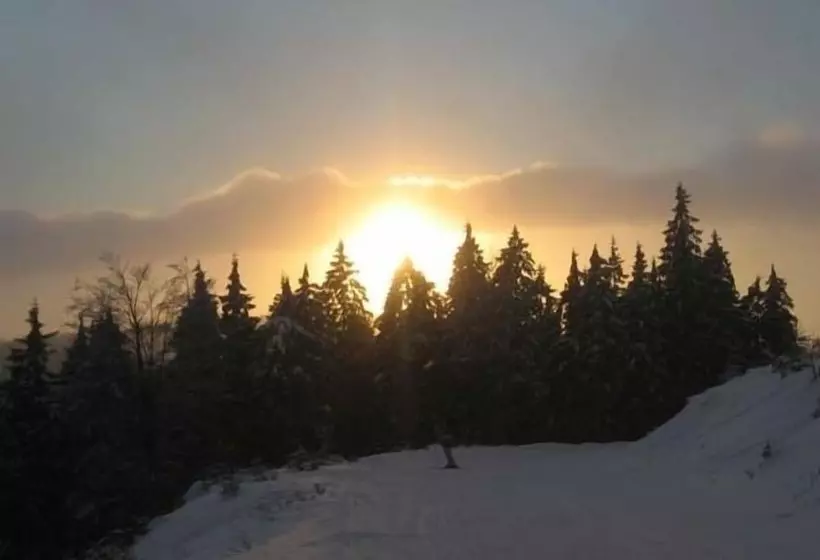 فندق Resort Martin & Kristyna