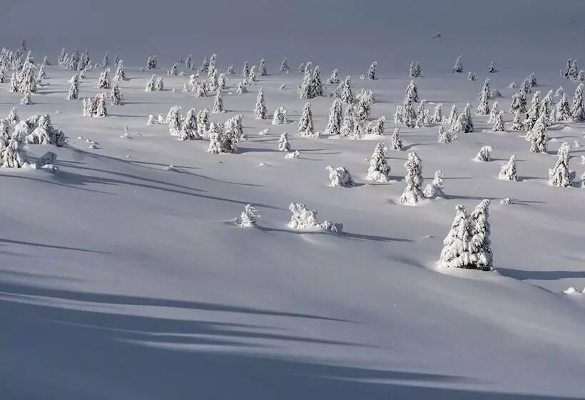 فندق Resort Martin & Kristyna