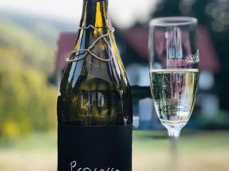 酒店 Resort Martin & Kristyna