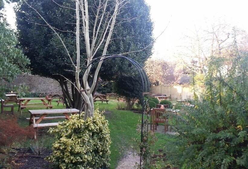 ホテル The New Inn