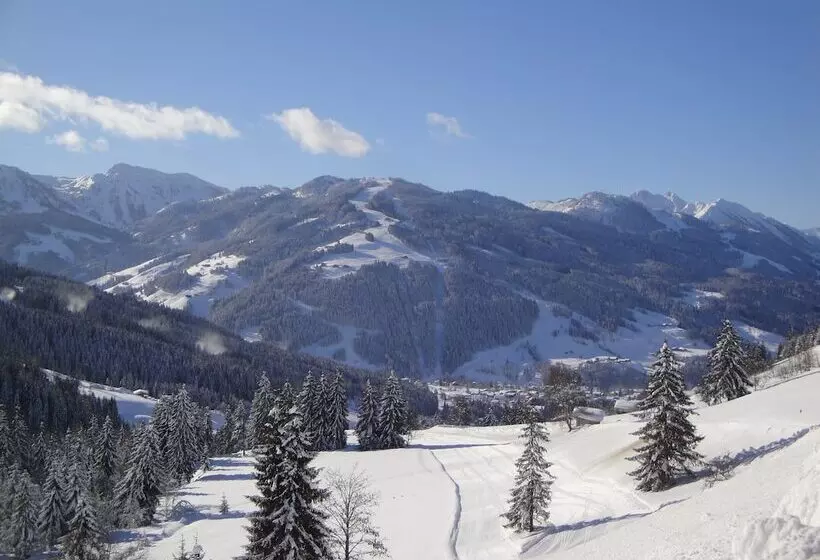 Naturhotel Edelweiss Wagrain