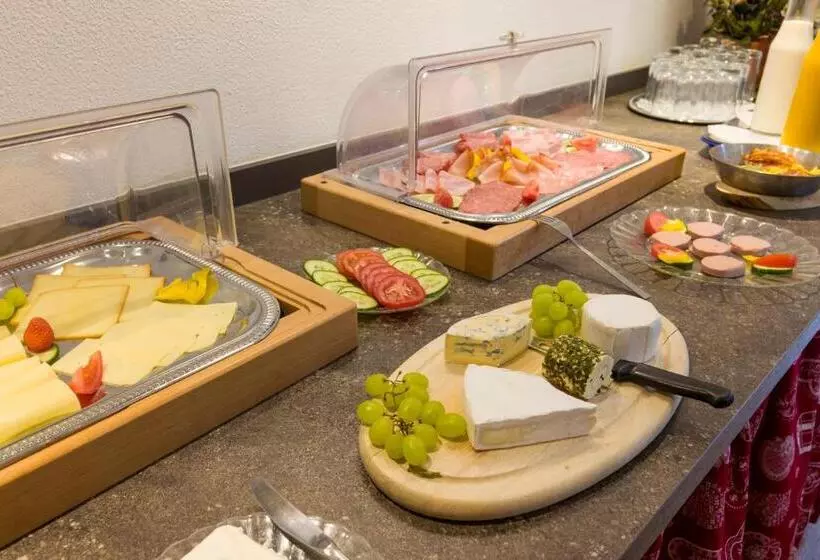 Otto Steiner Appartements Pension Ellmau & Wilder Kaiser