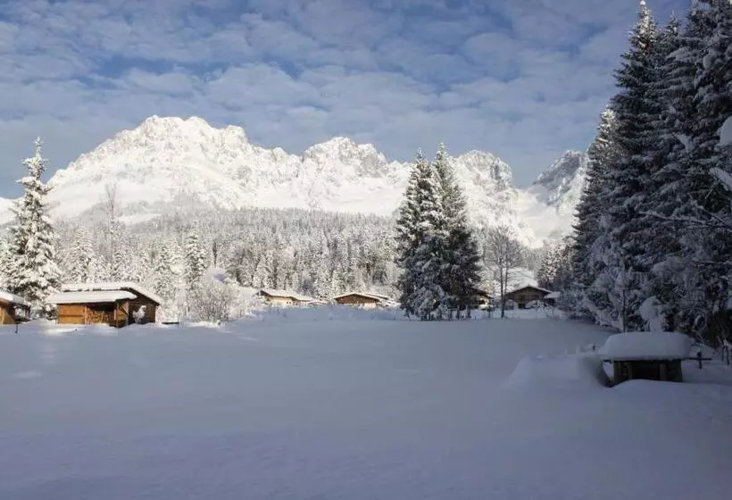 Otto Steiner Appartements Pension Ellmau & Wilder Kaiser