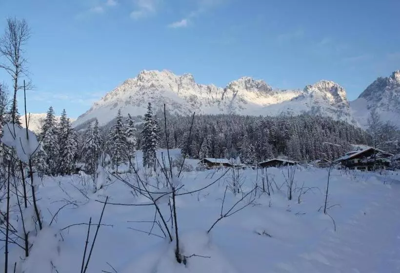 Otto Steiner Appartements Pension Ellmau & Wilder Kaiser