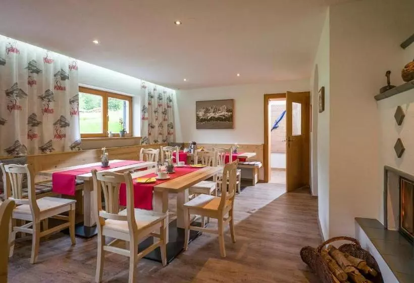 Otto Steiner Appartements Pension Ellmau & Wilder Kaiser