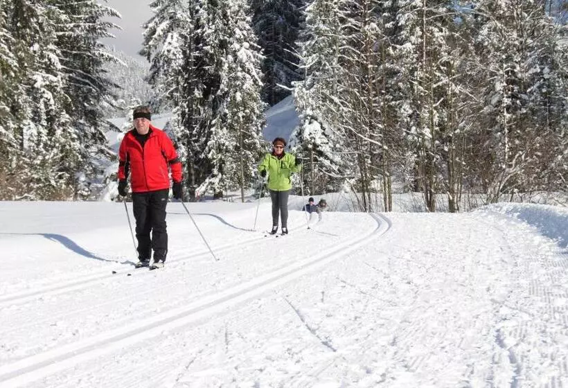 Otto Steiner Appartements Pension Ellmau & Wilder Kaiser