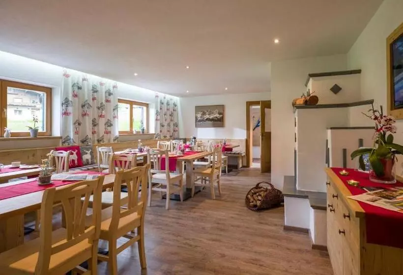 Otto Steiner Appartements Pension Ellmau & Wilder Kaiser