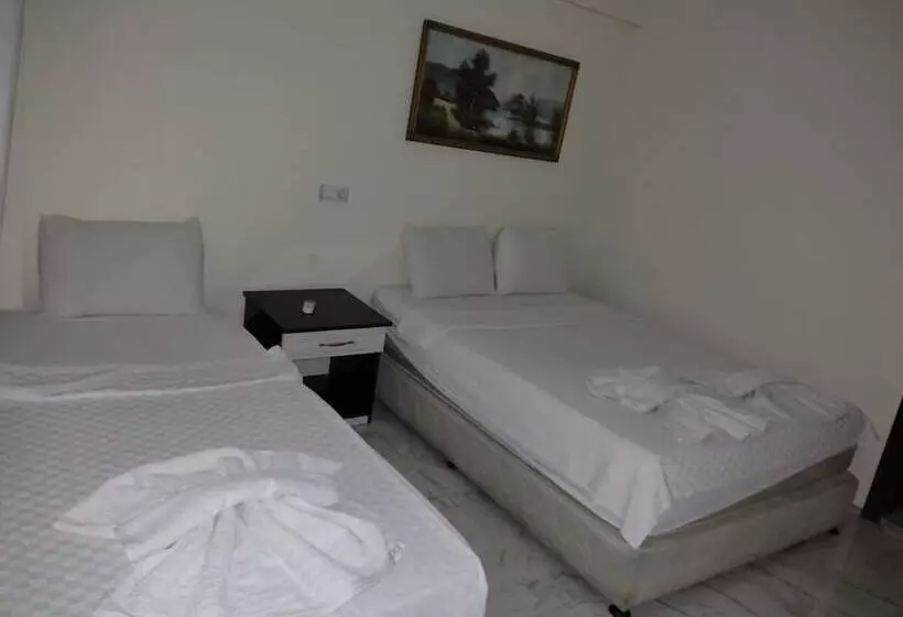 هتل Shah Sultan Ozturk