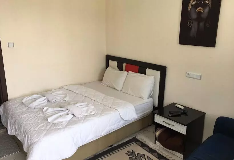 هتل Shah Sultan Ozturk