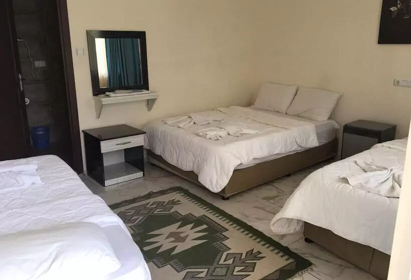 هتل Shah Sultan Ozturk