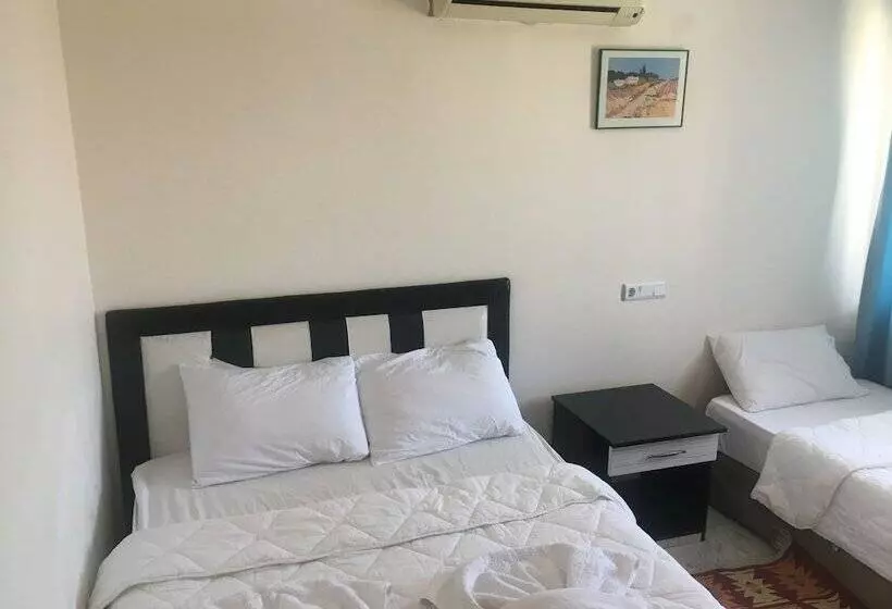 هتل Shah Sultan Ozturk