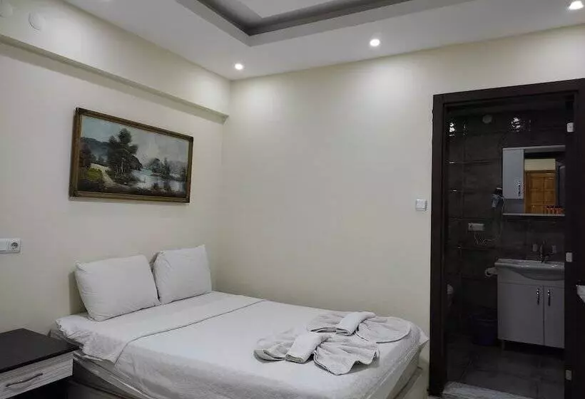 هتل Shah Sultan Ozturk