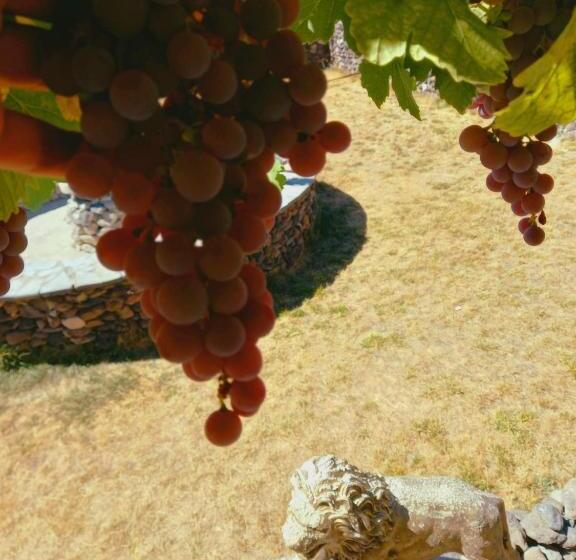 Отель Ulaş Cave