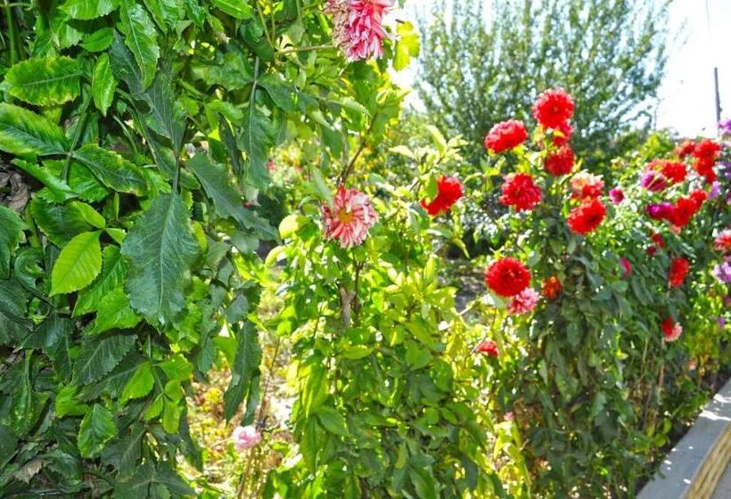 Отель Ulaş Cave