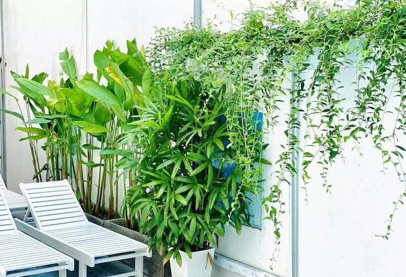 هتل Grand Holiday Hoian Villa