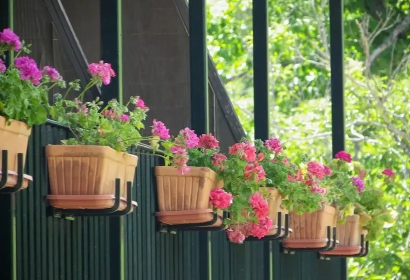 Apartamento Rural Finca La Media Legua