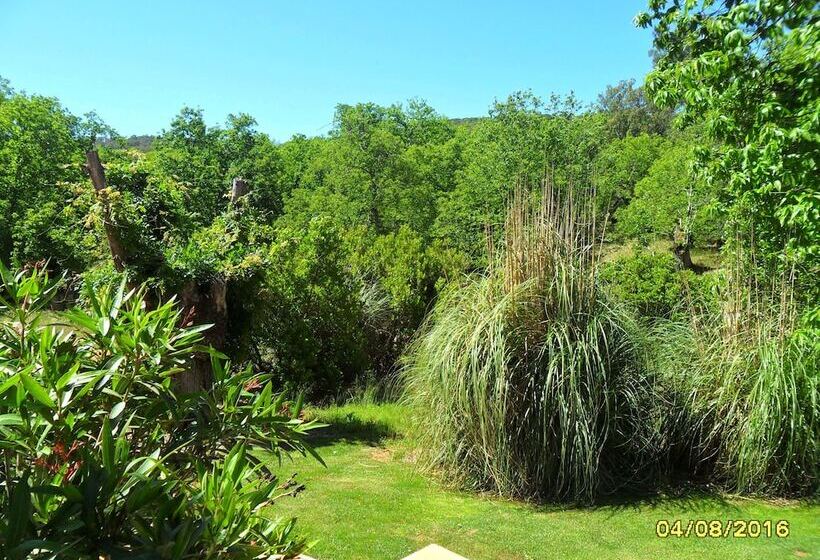 Apartamento Rural Finca La Media Legua