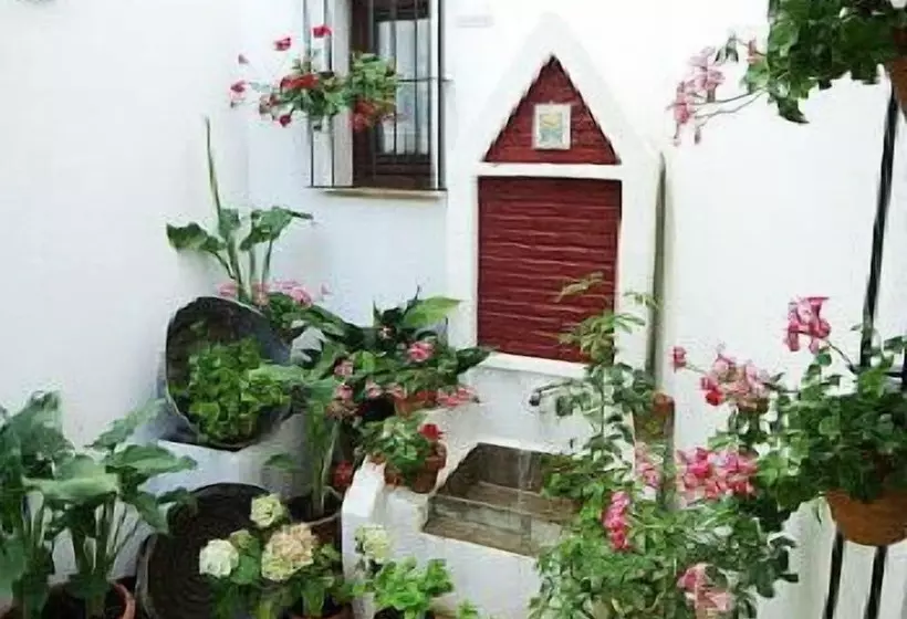 Apartamento Rural Finca La Media Legua