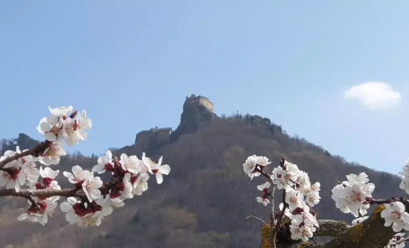 Donauwirt   Hotel Garni