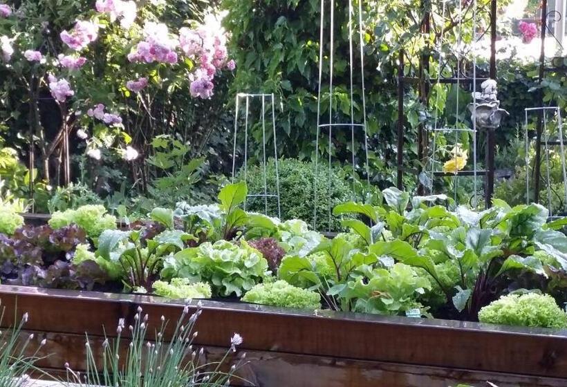 Donauwirt   Hotel Garni