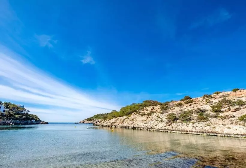 ホテル Barceló Portinatx   Adults Only