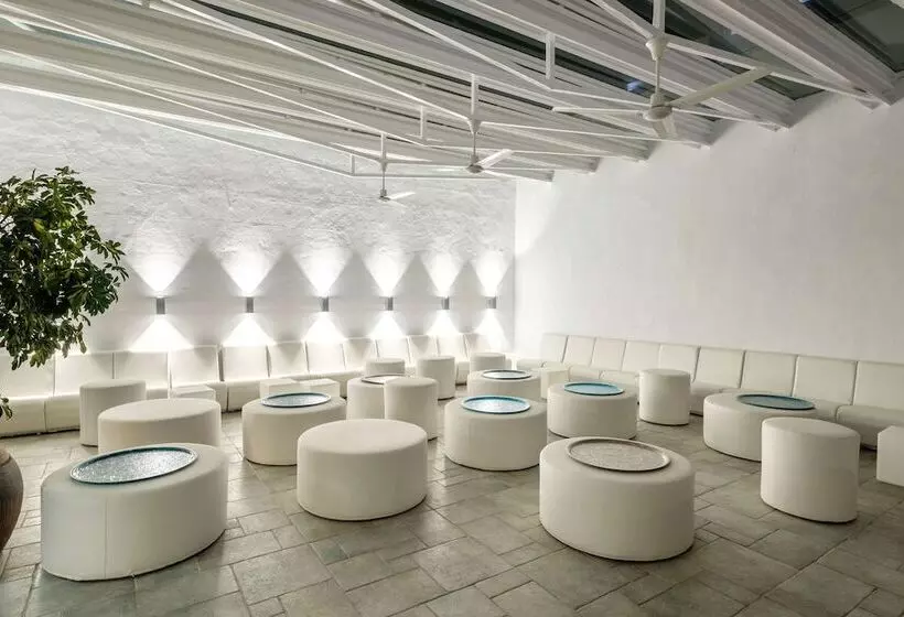 ホテル Barceló Portinatx   Adults Only