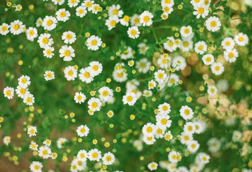 ホテル Gasthof Zum Kirchenwirt