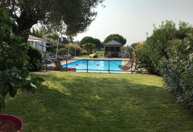 酒店 Maison Des Algues