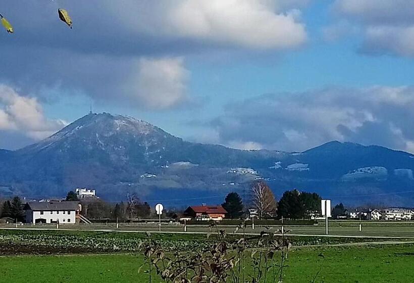 酒店 & Restaurant Rupertigau