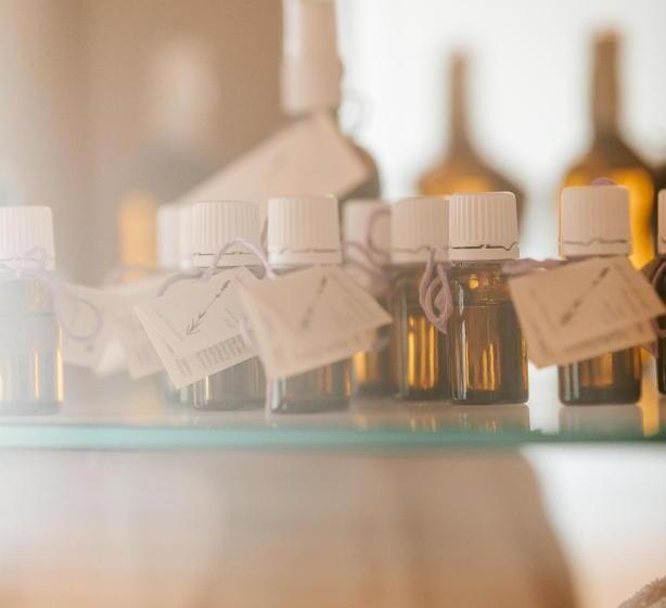 Thermenhotel Vier Jahreszeiten