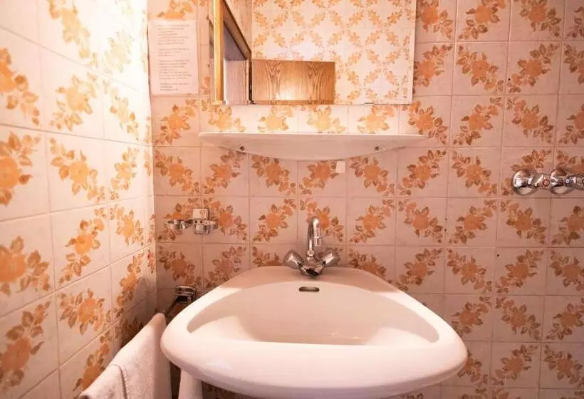 ホテル Pension Seerose