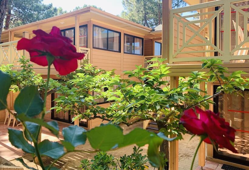 مُتل Résidence Les Pins