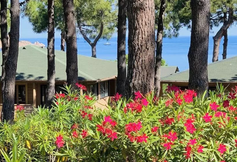 Motel Résidence Les Pins