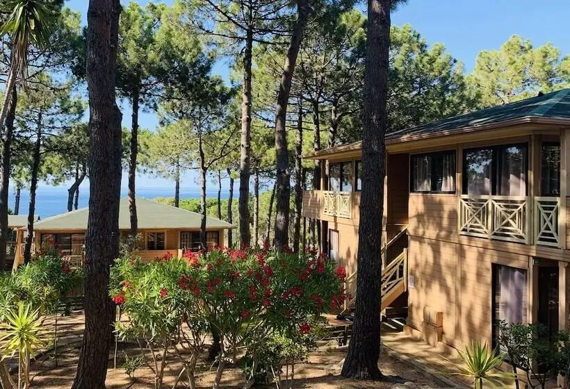 Motel Résidence Les Pins