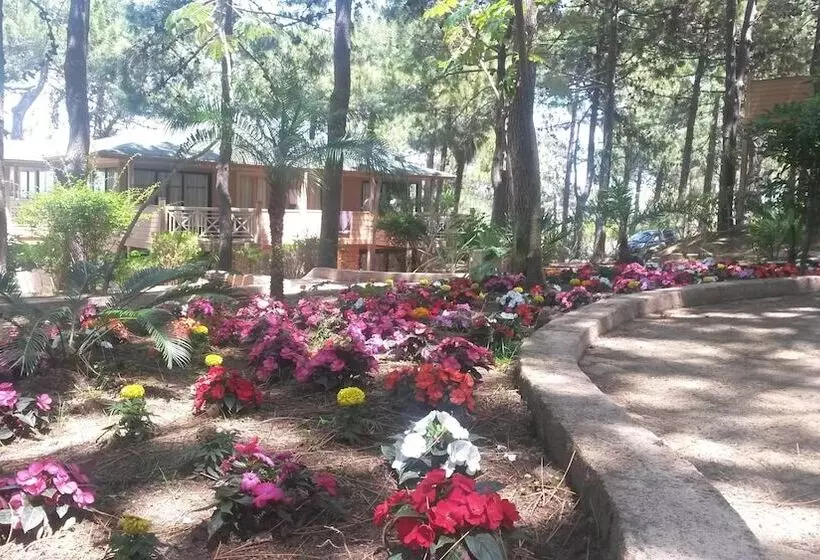 Motel Résidence Les Pins