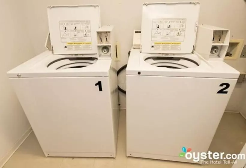 University Of Toronto   New College Residence   Wilson Hall Residence