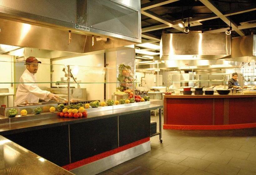 University Of Toronto   New College Residence   Wilson Hall Residence